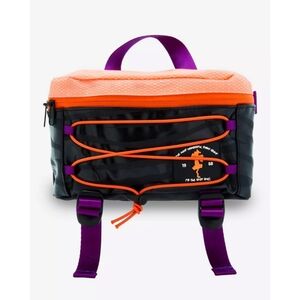 Bioworld Disney Winnie the Pooh Tigger Retro Belt Bag / BoxLunch Exclusive